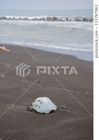 留在海灘上的流冰碎片 留在海灘上的流冰碎片 133767961