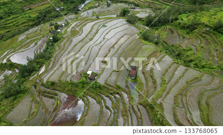 Batad Rice Terraces in Philippines Batad Rice Terraces in Philippines 133768065