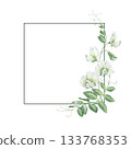 Thin square frame with pea leaves, shoots and white pea flowers. Watercolor illustration hand drawn and isolated on a white background. Perfect for decorating postcards, wedding invitations, posters. 133768353