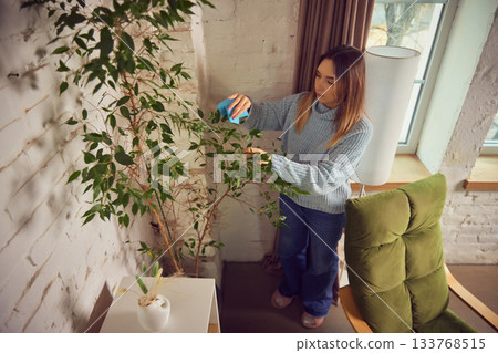 Woman watering indoor plant in bright cozy home interior Woman watering indoor plant in bright cozy home interior 133768515