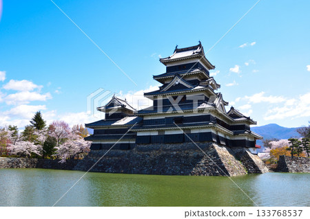 春天的松本城 133768537