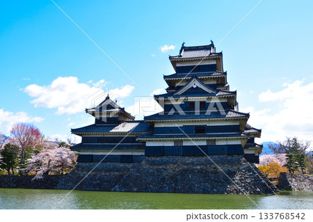 春天的松本城 133768542
