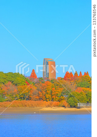 愛知縣名古屋市和平公園水塔風景 133768546