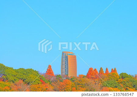 愛知縣名古屋市和平公園水塔風景 愛知縣名古屋市和平公園水塔風景 133768547