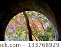 Autumn scenery of the Aigi Tunnels | Beautiful autumn leaves and the scenery of the historic tunnels Autumn scenery of the Aigi Tunnels | Beautiful autumn leaves and the scenery of the historic tunnels 133768929