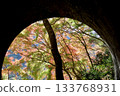 Autumn scenery of the Aigi Tunnels | Beautiful autumn leaves and the scenery of the historic tunnels Autumn scenery of the Aigi Tunnels | Beautiful autumn leaves and the scenery of the historic tunnels 133768931
