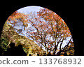Autumn scenery of the Aigi Tunnels | Beautiful autumn leaves and the scenery of the historic tunnels Autumn scenery of the Aigi Tunnels | Beautiful autumn leaves and the scenery of the historic tunnels 133768932