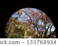Autumn scenery of the Aigi Tunnels | Beautiful autumn leaves and the scenery of the historic tunnels Autumn scenery of the Aigi Tunnels | Beautiful autumn leaves and the scenery of the historic tunnels 133768934