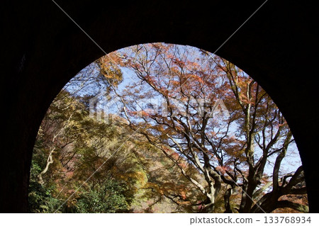 Autumn scenery of the Aigi Tunnels | Beautiful autumn leaves and the scenery of the historic tunnels Autumn scenery of the Aigi Tunnels | Beautiful autumn leaves and the scenery of the historic tunnels 133768934