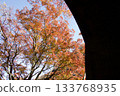 Autumn scenery of the Aigi Tunnels | Beautiful autumn leaves and the scenery of the historic tunnels Autumn scenery of the Aigi Tunnels | Beautiful autumn leaves and the scenery of the historic tunnels 133768935