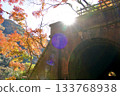 Autumn scenery of the Aigi Tunnels | Beautiful autumn leaves and the scenery of the historic tunnels Autumn scenery of the Aigi Tunnels | Beautiful autumn leaves and the scenery of the historic tunnels 133768938