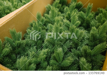 Packed artificial pine trees in cardboard boxes for seasonal decoration 133769140