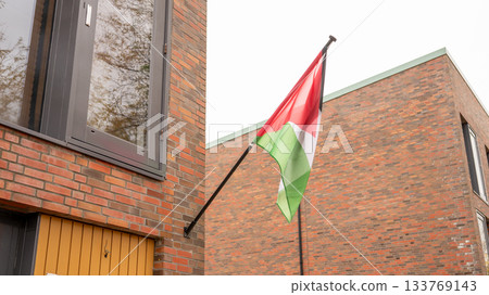 Hungarian flag on brick building exterior in urban setting 133769143