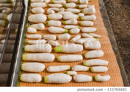 當地蘿蔔，用於醃製，蘿蔔晾曬在墊子上。 133769881