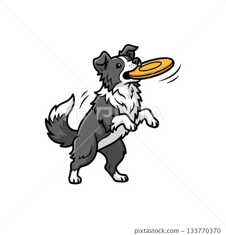 Border Collie Catching Frisbee in Mid-Air Vector Illustration Border Collie Catching Frisbee in Mid-Air Vector Illustration 133770370
