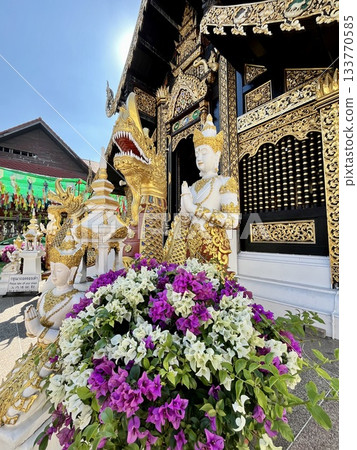 Bougainvillea and Wat Inthakhin Sadumuang, Chiang Mai Bougainvillea and Wat Inthakhin Sadumuang, Chiang Mai 133770585