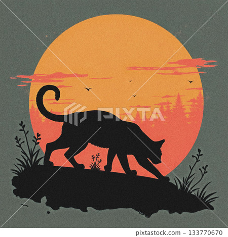 Silhouette of a black cat stalking on a hill at sunset image photo 133770670
