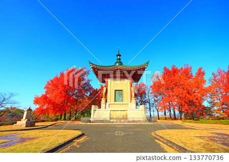 View of Heiwado Hall in Peace Park, Nagoya, Aichi Prefecture 133770736