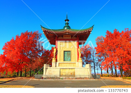 View of Heiwado Hall in Peace Park, Nagoya, Aichi Prefecture 133770743