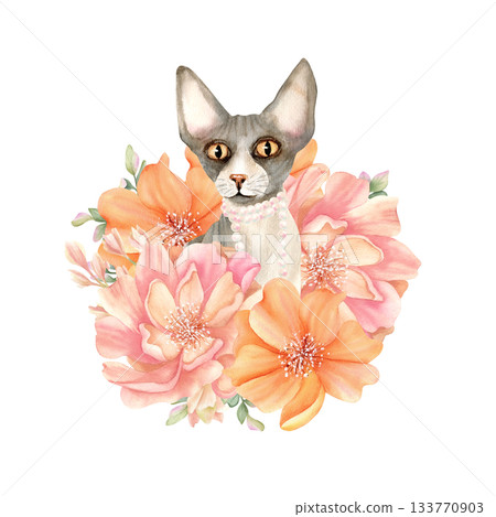 Sphynx cat with pearl necklace in delicate flowers. Sphinx head animal with pink, orange peony. Cute floral kitty. Spring watercolor illustration isolated from background. Character in fashion style 133770903