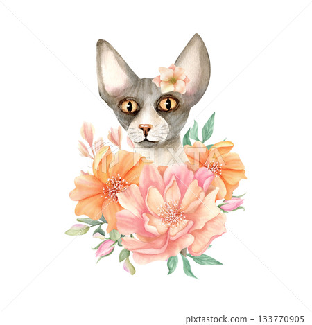 Sphynx cat head in flowers. Sphinx hairless animal with peony. Cute floral kitty. Spring watercolor illustration isolated from background. Hand drawn character for card, fashion, textile, stationery 133770905