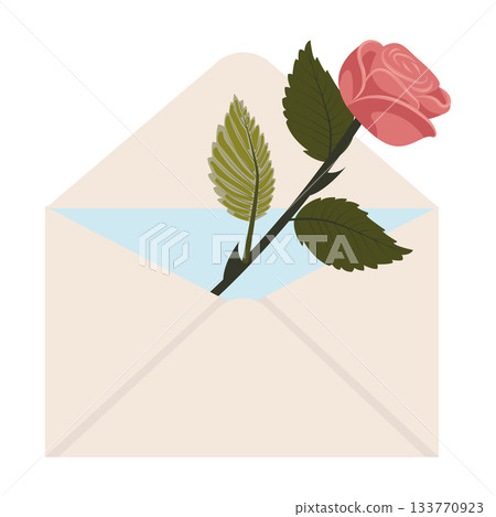 Bright pink rose. One blooming rose in a mailing envelope. 133770923