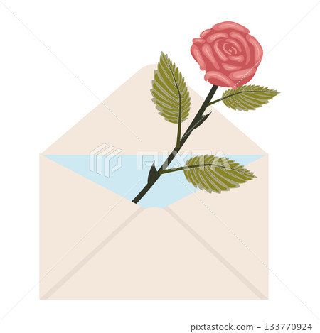 Bright pink rose. One blooming rose in a mailing envelope. 133770924