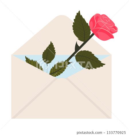 Bright pink rose. One blooming rose in a mailing envelope. 133770925