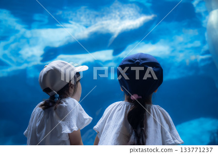 Children looking at a large tank at an aquarium 133771237
