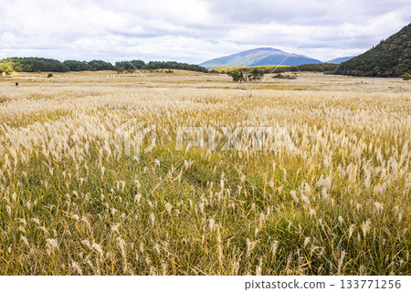 秋季的蒲葦覆蓋著喬加巴魯·塔德瓦拉沼澤和雄偉的九重山脈。 133771256