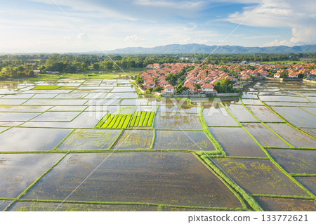 Aerial view of land and housing estate in Chiang Mai province of Thailand. 133772621
