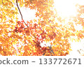 Momiji who changed leaves 133772671