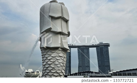 This is the symbol of Singapore, the Merlion.  133772721