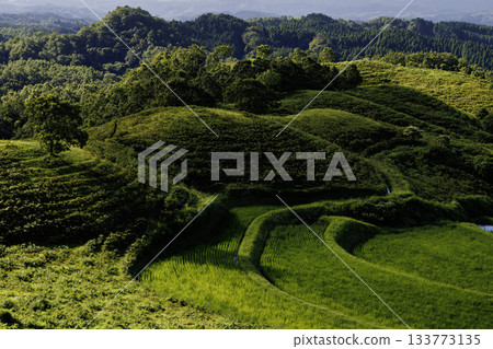 七月底的荻木梯田(熊本縣阿蘇郡宇布山村) 七月底的荻木梯田(熊本縣阿蘇郡宇布山村) 133773135