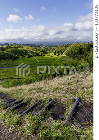 Ogi rice terraces at the end of July (Ubuyama Village, Aso District, Kumamoto Prefecture) 133773138