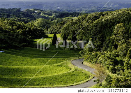七月底的荻木梯田（熊本縣阿蘇郡宇布山村） 133773142