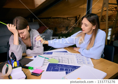 Two young women discussing difficulties during complex project task 133773276
