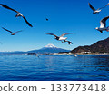 Mount Fuji from Mitsuhama 133773418