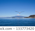 Mount Fuji from Mitsuhama 133773420