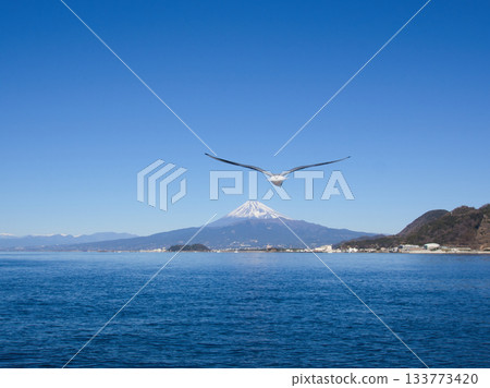 從三濱眺望富士山 從三濱眺望富士山 133773420