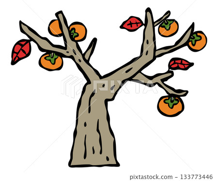Persimmon tree in a private home Fruit tree Persimmon tree in a private home Fruit tree 133773446