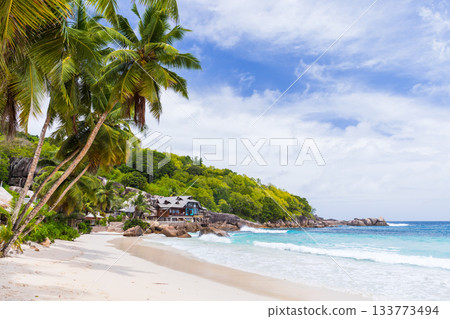 Sunlit tropical beach with swaying palm trees, white sand, turquoise waves, Sunlit tropical beach with swaying palm trees, white sand, turquoise waves, 133773494