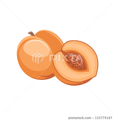 A ripe peach and half a peach on a white background. Cute fruit illustration. 133774187