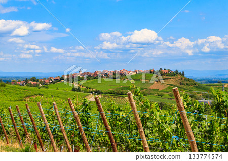 View of Zellenberg village and alsatian vineyards. Alsace Wine Route, France View of Zellenberg village and alsatian vineyards. Alsace Wine Route, France 133774574