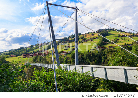 Suspension pedestrian panorama bridge over the Gummi gorge in Sigriswil, Switzerland Suspension pedestrian panorama bridge over the Gummi gorge in Sigriswil, Switzerland 133774578