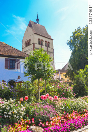Cathedral of Saint Maria and Markus of Reichenau Abbey on Island of Reichenau, Lake Constance, Baden-Wuerttemberg, Germany 133774614