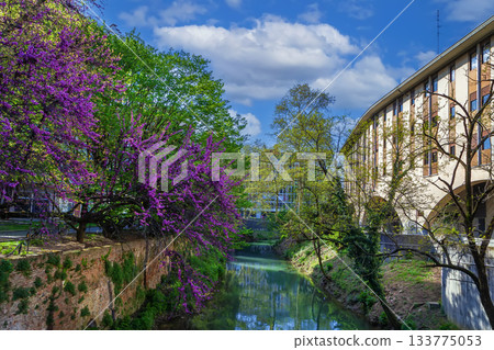Bacchiglione River in Padua, Italy 133775053