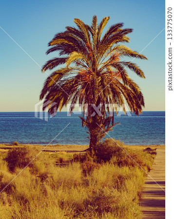 Percheles Beach, Murcia Spain 133775070