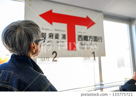 An elderly Japanese woman looking at the information board at the ferry terminal 133775721