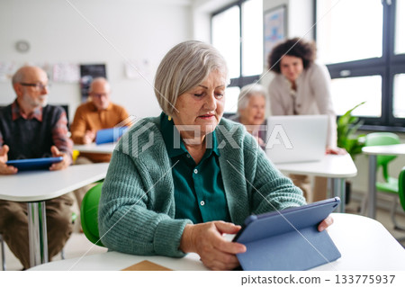 Elderly woman learning digital skills with tutor help. 133775937